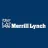 Merrill Lynch reviews, listed as Western Union