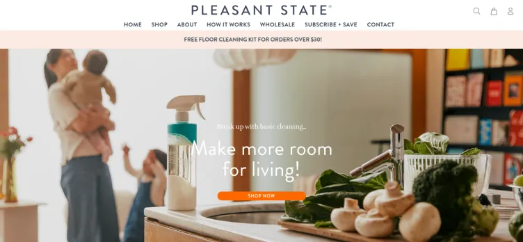 Screenshot Pleasant State