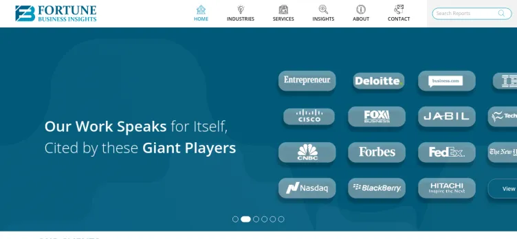Screenshot Fortune Business Insights
