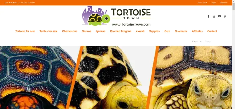 Screenshot Tortoisetown