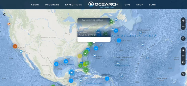 Screenshot OCEARCH Shark Tracker