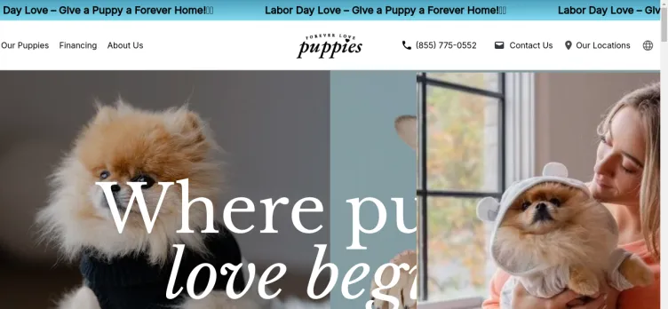 Screenshot Forever Love Puppies And Grooming