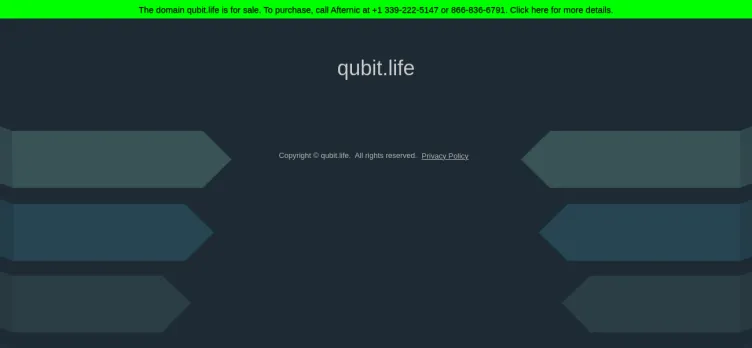 Screenshot Qubit.life