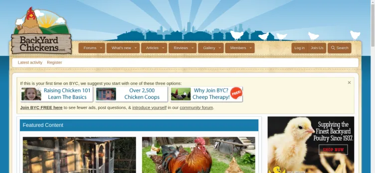 Screenshot BackYardChickens