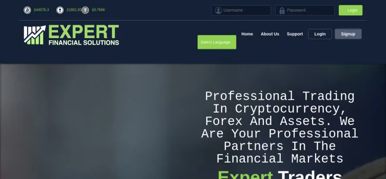 Screenshot Expert-financial-solutions