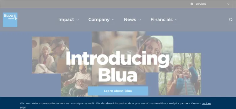 Screenshot Bupa Group