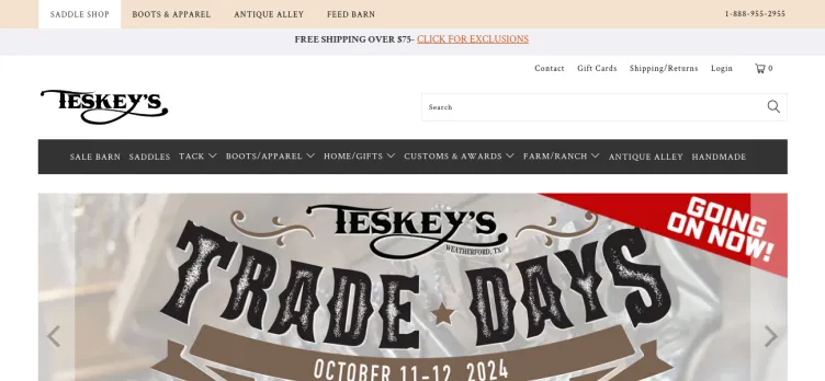 Screenshot Teskeys.com