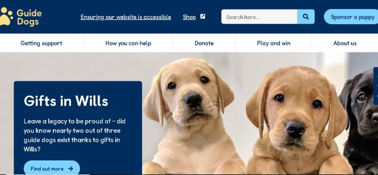 Screenshot Guide Dogs