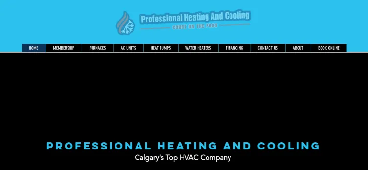 Screenshot ProfessionalHeatingCooling.com