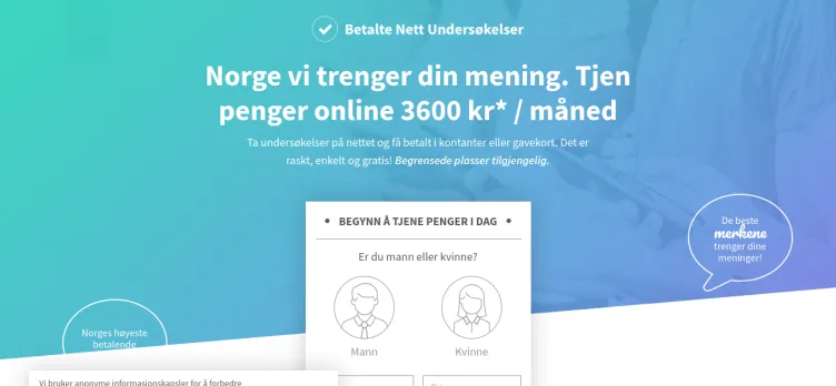 Screenshot BetalteNettundersokelser.com