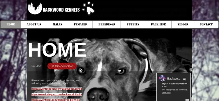 Screenshot Backwood Kennels