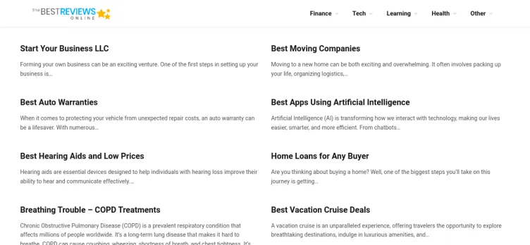 Screenshot The Best Reviews Online