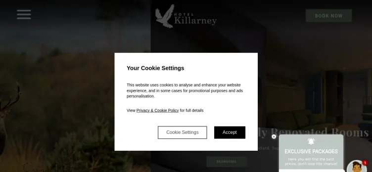 Screenshot Hotel Killarney