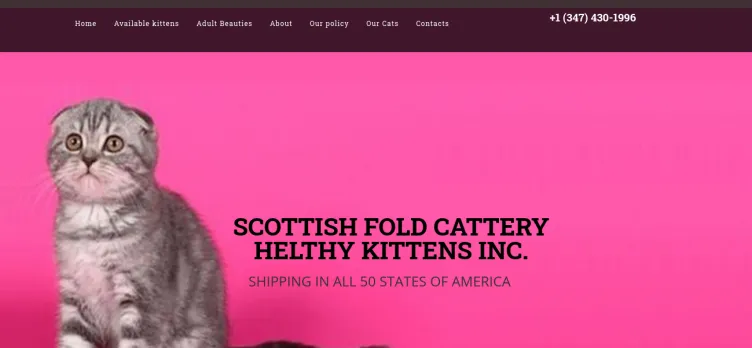 Screenshot ScottishFoldNY.com