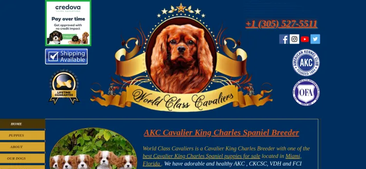 Screenshot World Class Cavaliers