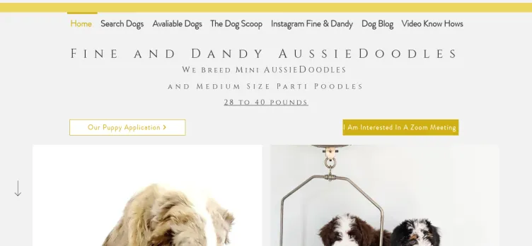 Screenshot Fine and Dandy Aussiedoodles