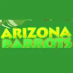 Arizona Parrots