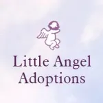 Little Angel Adoptions company reviews
