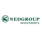 NedGroup Investments