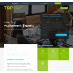 Top Assignment Experts