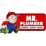 Mr. Plumber by Metzler & Hallam