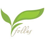 Follus