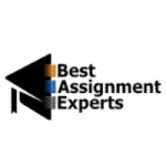 Best Assignment Experts