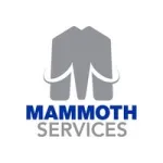 Mammoth Services