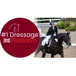 Dressage Adventures