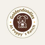 GoldendoodlesPoppysRanch.com