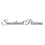 Snowheart Persians