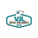 VJL Silver Labradors