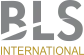 BLS International Services