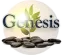 Genesis Ibogaine Center