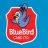 Bluebird Cabs Ltd