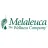 Melaleuca Reviews
