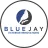 Blue Jay Exterior Renovations