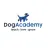 Dog Academy