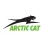 Arctic Cat