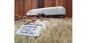 AmeriGas Propane - Dangerous propane tank issue ignored