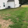 True Homes - yard/sod/dead grass/awful appearance