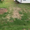 True Homes - yard/sod/dead grass/awful appearance