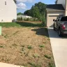 True Homes - yard/sod/dead grass/awful appearance