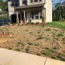 True Homes - yard/sod/dead grass/awful appearance