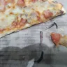 Roman's Pizza - hazardous object in our pizza and bad customer care