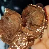 Hostess Brands - bakery petites... mold