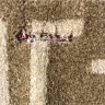 One Kings Lane - damaged area rug