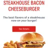 Sonic Drive-In - steakhouse burger