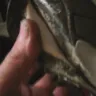 Nike - football shoes soles falling off after 1 week