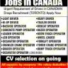 FlyJobz.com - fraud job - offers